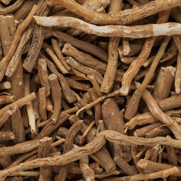 Ashwagandha für Hunde: Natürliche Unterstützung für Gesundheit, Nerven und Wohlbefinden