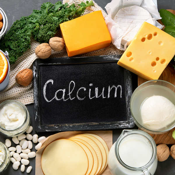 Calcium für Pferde: Alles Wichtige über die richtige Calciumaufnahme